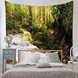 GOENN Wall Tapestry Wall Tapestries,Sunshine Forest Tree Tapestry, Summertime Foliage Sun Rays Blanket Tapestries for Bedroom Living Home Dorm Home Decor (Color : A, Size : 100x150CM)