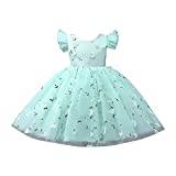 Pageant Party Dress Long Princess Flower Girls Wedding Gown Round Neck Loose Flying Sleeve A Line Dress For 1 To 8 Years Baby Girl Evening Dress (Mint Green, 140/9Y)