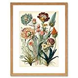 Ernst Haeckel Inspired Vintage Botanical Plant Study Modern Watercolour Painting Illustration Artwork Framed Wall Art Print 12X16 Inch