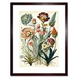 Ernst Haeckel Inspired Vintage Botanical Plant Study Modern Watercolour Painting Illustration Artwork Framed Wall Art Print 12X16 Inch