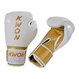 Boxing gloves Kwon KO Champ