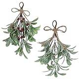 Artificial Mistletoe Floral Stems Christmas Decoration | Frosted Artificial Mistletoe,Hanging Christmas Tree Ornaments,Christmas Mistletoe Ornaments with Berries and Bow,Festive Mistletoe Garland
