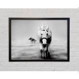 Donkey Curiosity - Single Picture Frame Art Prints on Canvas (59.7 H x 84.1 W x 3.3 D cm)