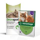 Cats 5kg-8kg: 3-Month Advantage Spot-On Flea Treatment with Dronspot Spot-On Wormer - 5kg - 8kg
