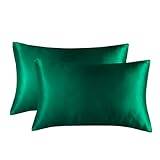 BAWHO Beautiful and Comfortable Pillowcase P2 Pack Soft Silk Pillow Case Cover with Envelope Closure Pillowcase/Green/51 * 66Cm