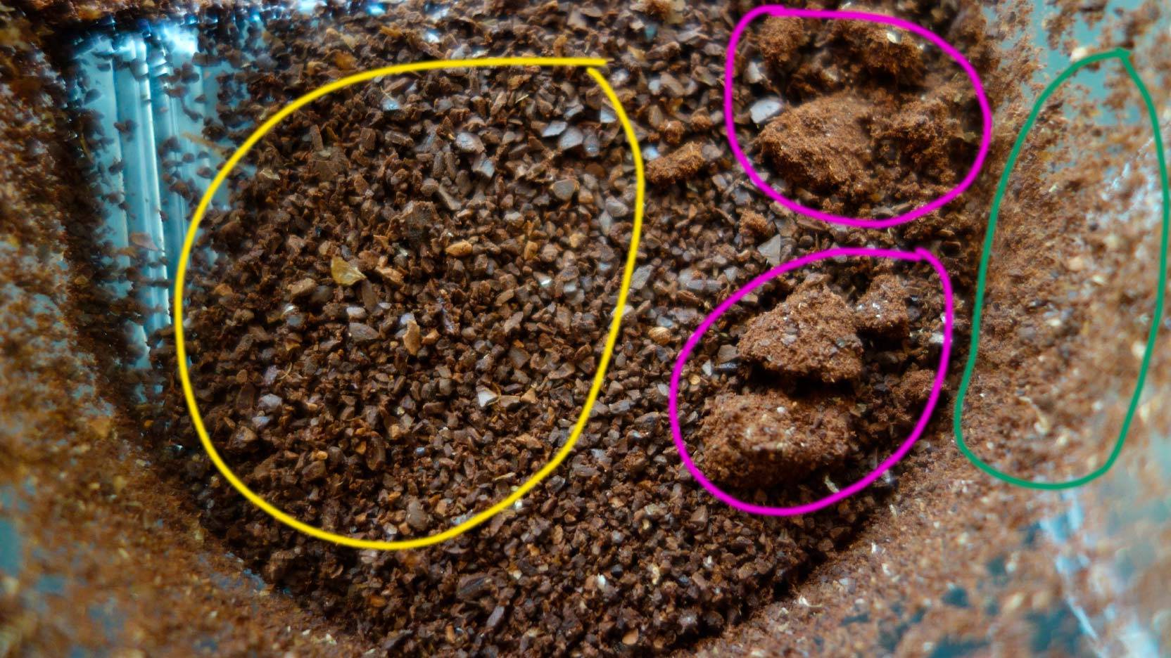 Image of the coffee container for the Russell Hobbs coffee grinder with freshly ground coffee in it – notice the three coloured markings