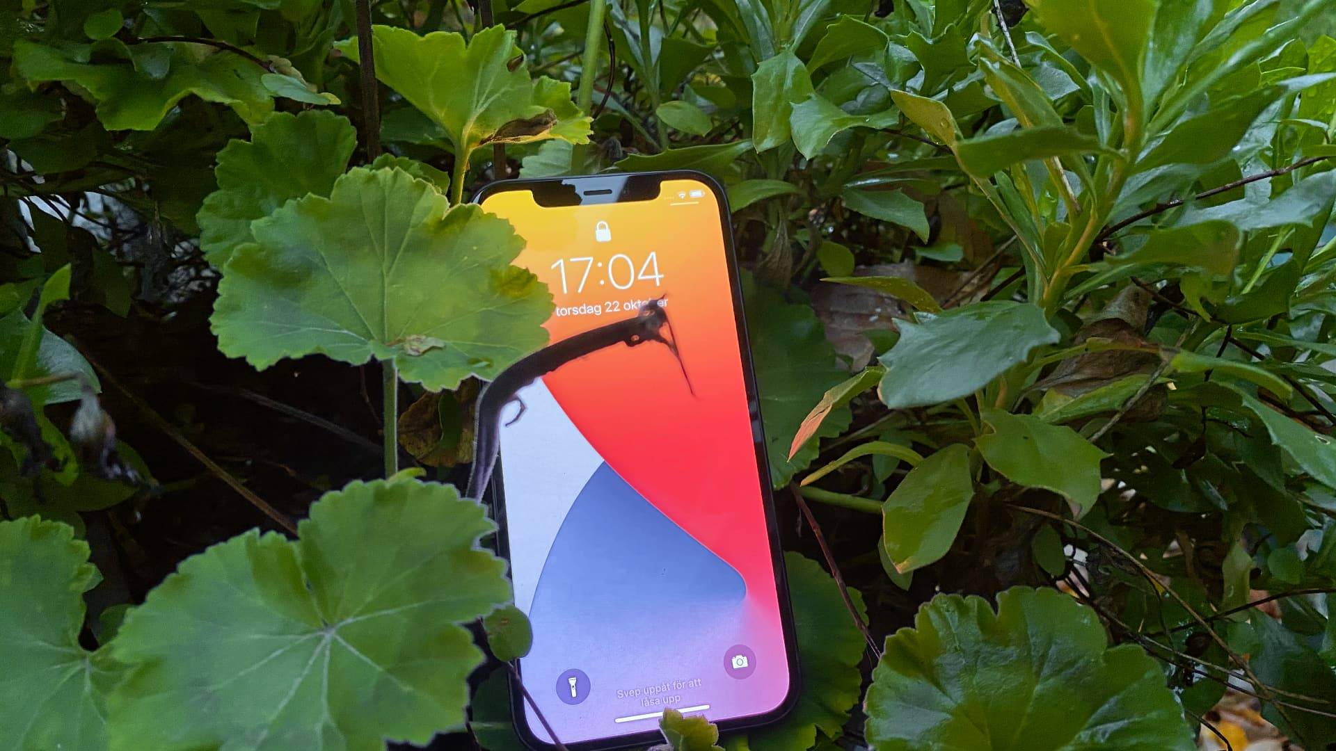 Apple Iphone 12, black, in bush, lock screen