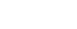 Levy's Leathers