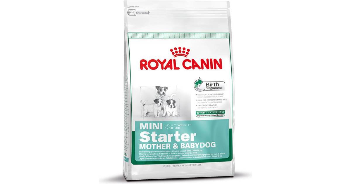 royal mini starter