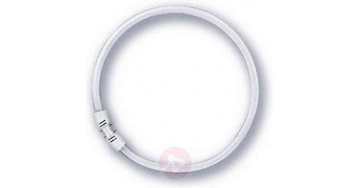 Osram Circline Ring T5 FC 55W 840 LUMILUX Cool White 2GX13 