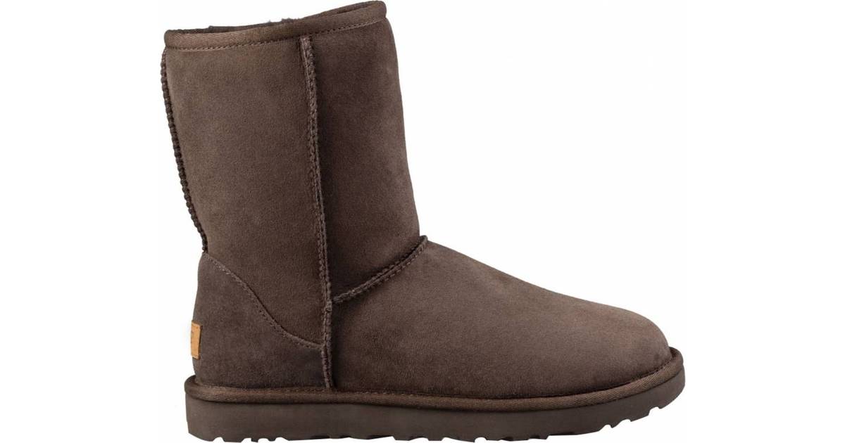 classic short chocolate ugg boots