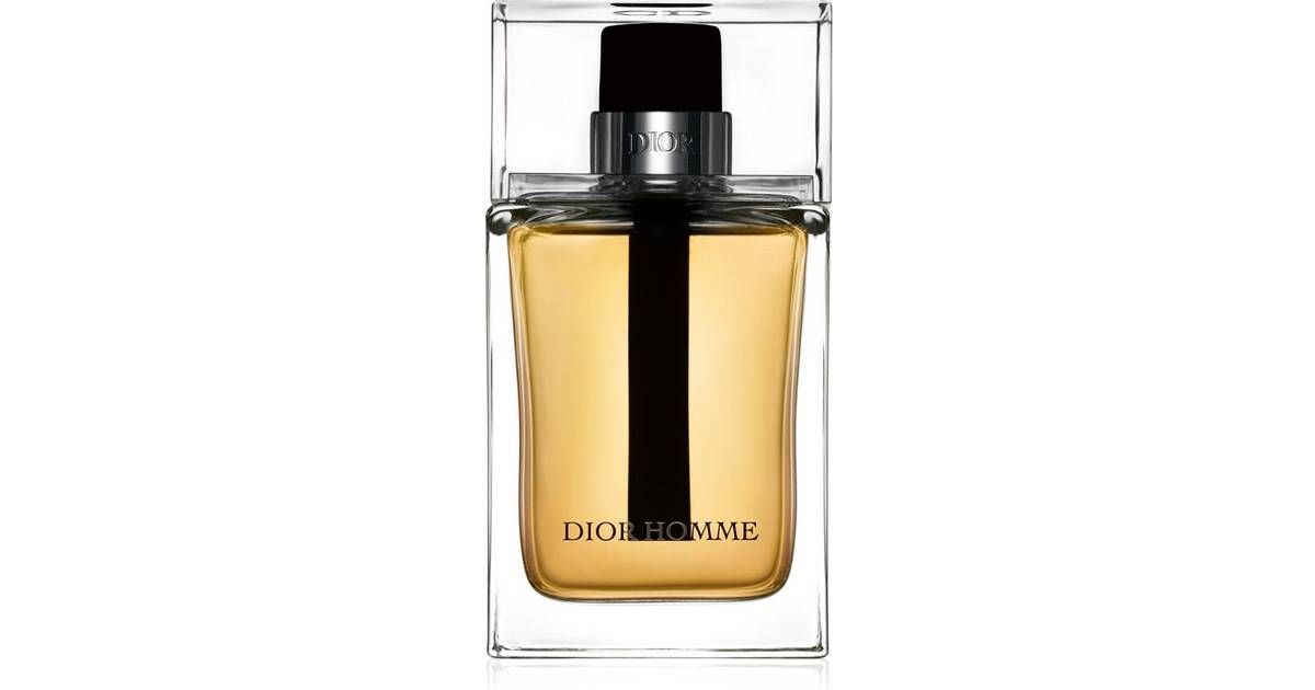kool Nuchter bundel Christian Dior Dior Homme EdT 50ml • PriceRunner »