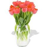 Flowers Love Flowers Tender Tulips Bunches 12