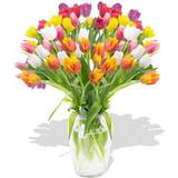 Flowers Love Flowers Tulips Galore Bunches 60