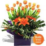 Flowers Timely Tulips Assorted 14