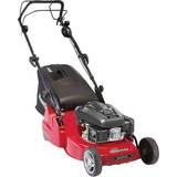 Lawn Mowers on sale Mountfield S461R PD/ES Mains Powered Mower