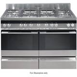 Fisher & Paykel OR120DDWGX2 Stainless Steel