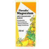 Liquids Vitamins & Minerals Salus Floradix Magnesium 250ml