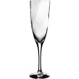 Kosta Boda Champagne Glasses Kosta Boda Château Champagne Glass 21cl
