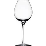 Orrefors Difference Fruit White Wine Glass 45cl
