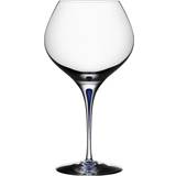 Orrefors Intermezzo Blue Bouquet White Wine Glass, Red Wine Glass 70cl
