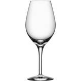 Orrefors more Orrefors More White Wine Glass 44cl 4pcs