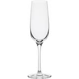 Dartington Flute Champagne Glass 20cl 6pcs