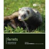 Ferrets (Paperback, 2012)