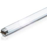 Neutral White Fluorescent Lamps Philips MASTER TL-D Super 80 Fluorescent Lamps 15W G13