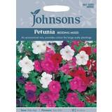 March Flower Seeds Johnson's Petunia 'Bedding Mixed' 750 pack