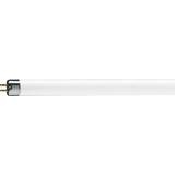 Philips TL Mini Fluorescent Lamp 13W G5 640