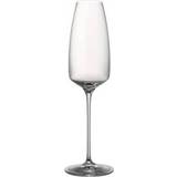 Rosenthal Tac O2 Champagne Glass 30cl