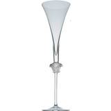 Rosenthal Champagne Glasses Rosenthal Versace Champagne Glass 19cl