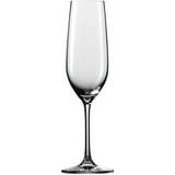 Schott Zwiesel Glasses Schott Zwiesel Viña Champagne Glass 22.7cl