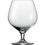 Schott Zwiesel Drink Glasses Schott Zwiesel Mondial Drink Glass 51.1cl