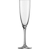 Schott Zwiesel Champagne Glasses Schott Zwiesel Classico Champagne Glass 21cl