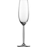 Schott Zwiesel Champagne Glasses Schott Zwiesel Diva Champagne Glass 21.9cl