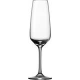 Schott Zwiesel Taste Champagne Glass 28.3cl