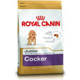 Royal Canin Pets on sale Royal Canin Cocker Spaniel Junior