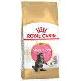 Royal canin kitten food Royal Canin Maine Coon Kitten 10kg