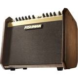 Direct Out XLR Guitar Amplifiers Fishman Loudbox Mini