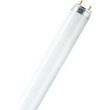 G13 Light Bulbs Osram Lumilux T8 Fluorescent Lamp 15W G13