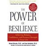 power of resilience achievi (Paperback, 2004)
