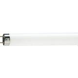 Philips Master TL-D Food Fluorescent Lamp 58W G13
