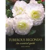 Reference Books Tuberous Begonias (Hardcover, 2011)