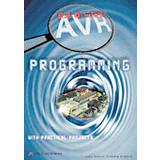Bascom-AVR Programming (Paperback, 2012)