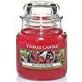 Yankee Candle Raspberry Small Scented Candle 104g