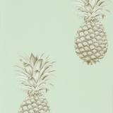 Sanderson Pineapple Royale - Porcelain/Sepia (216325)