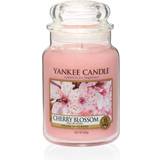 Glass Candlesticks, Candles & Home Fragrances Yankee Candle Cherry Blossom Large Pink Scented Candle 623g