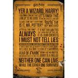 Beige Posters GB Eye Harry Potter Quotes Maxi Poster 61x91.5cm